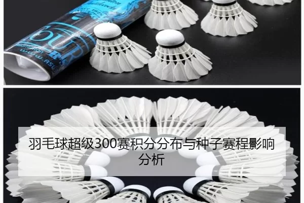 羽毛球超级300赛积分分布与种子赛程影响分析